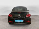 Volkswagen Beetle Cabriolet 1.2 TSI DSG Design *Navi*Sitzhe - gebrauchte VW Beetle aus dem Jahr 2017
