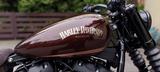 Harley-Davidson FXBBS Street Bob 114Custom - Harley-Davidson Street Bob 114 (FXBBS)
