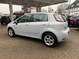 Fiat Punto More - Fiat Punto Gebrauchtwagen in Krefeld