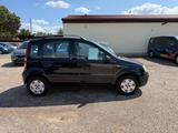Fiat Panda 1.2 8V Dynamic - gebrauchte Fiat Panda aus dem Jahr 2006