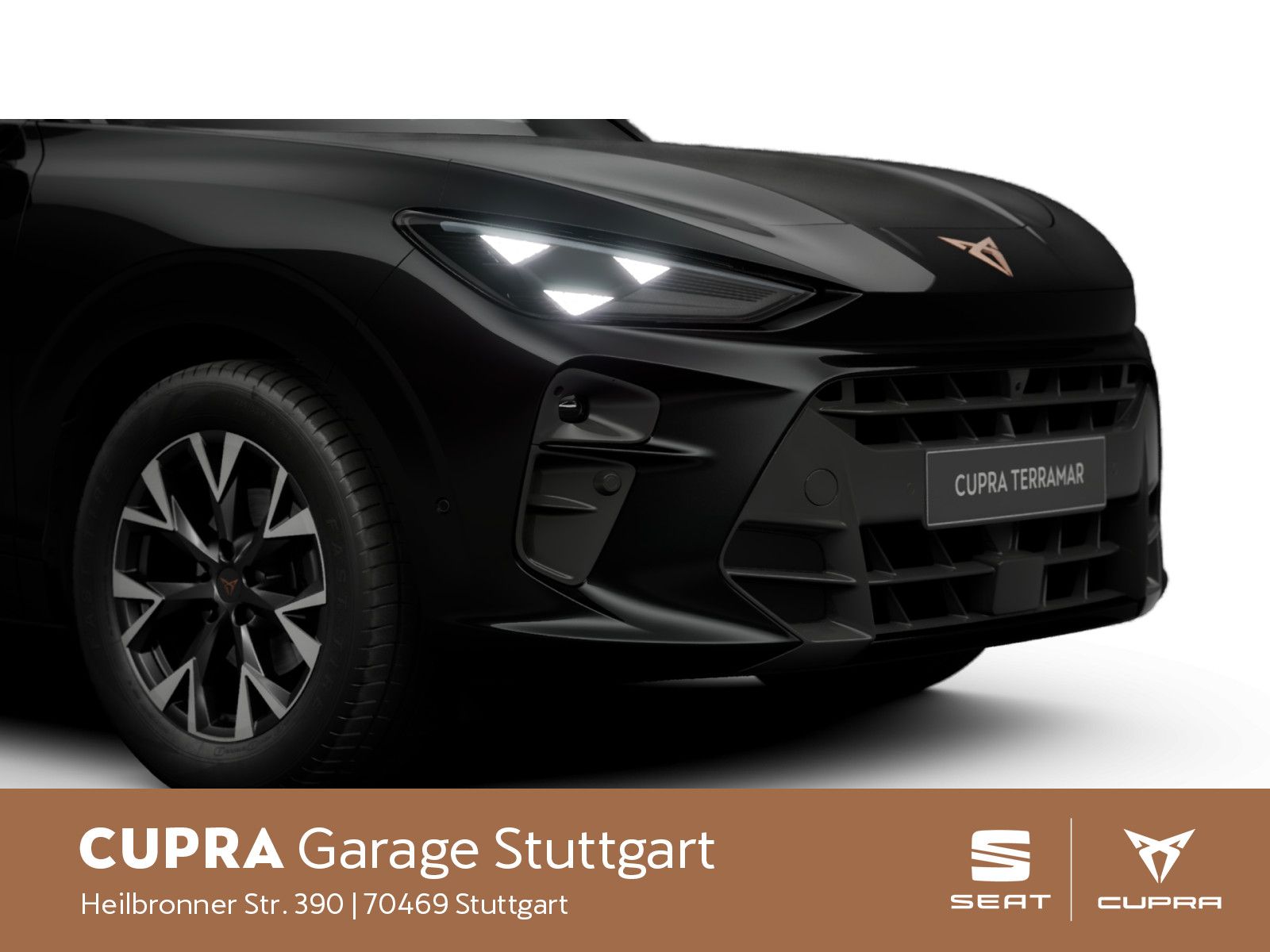 Cupra Terramar - Bild 8