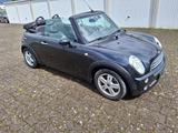 MINI Cooper COOPER Cabrio - MINI MINI aus 2006: Cabrio