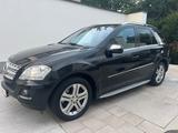 Mercedes-Benz ML 500 ML -Klasse ML 500 - Mercedes-Benz ML 500: Geländewagen