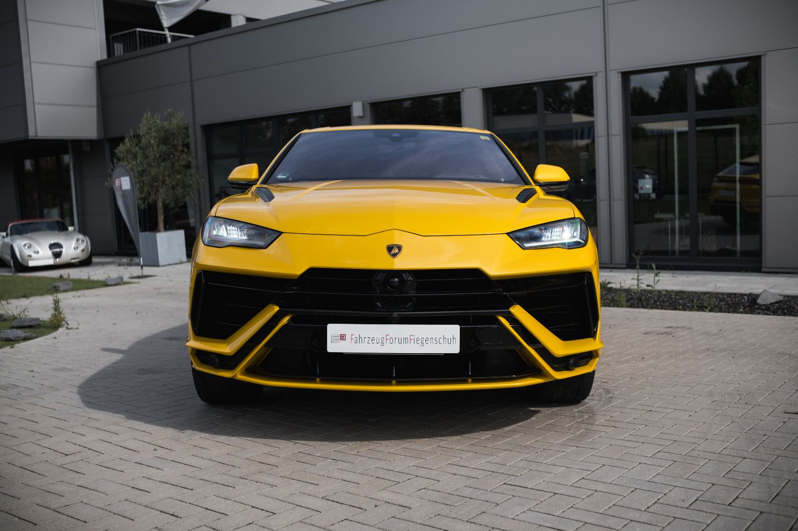 Fahrzeugabbildung Lamborghini Urus S - Carbon, 4-Sitz, B & O, HUD, Pano-Dach