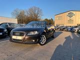 Audi A3 Cabriolet 1.6 Attraction/S-Heft/SHZ/Multi/AHK - Audi A3: Cabrio, 1.6