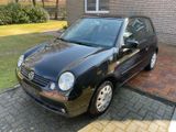 Volkswagen Lupo 1.4 44kW Rave Princeton - Volkswagen Lupo: Princeton