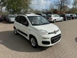 Fiat Panda Lounge 5-TÜRIG°KLIMA°TÜV 12/26°SCHECKHEFT! - Fiat Panda: Weiß