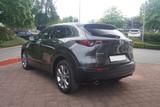 Mazda CX-30 2.0 M-Hybrid 2WD LED Navi ACC 360° Head-Up - Mazda CX-30 Gebrauchtwagen in Dresden