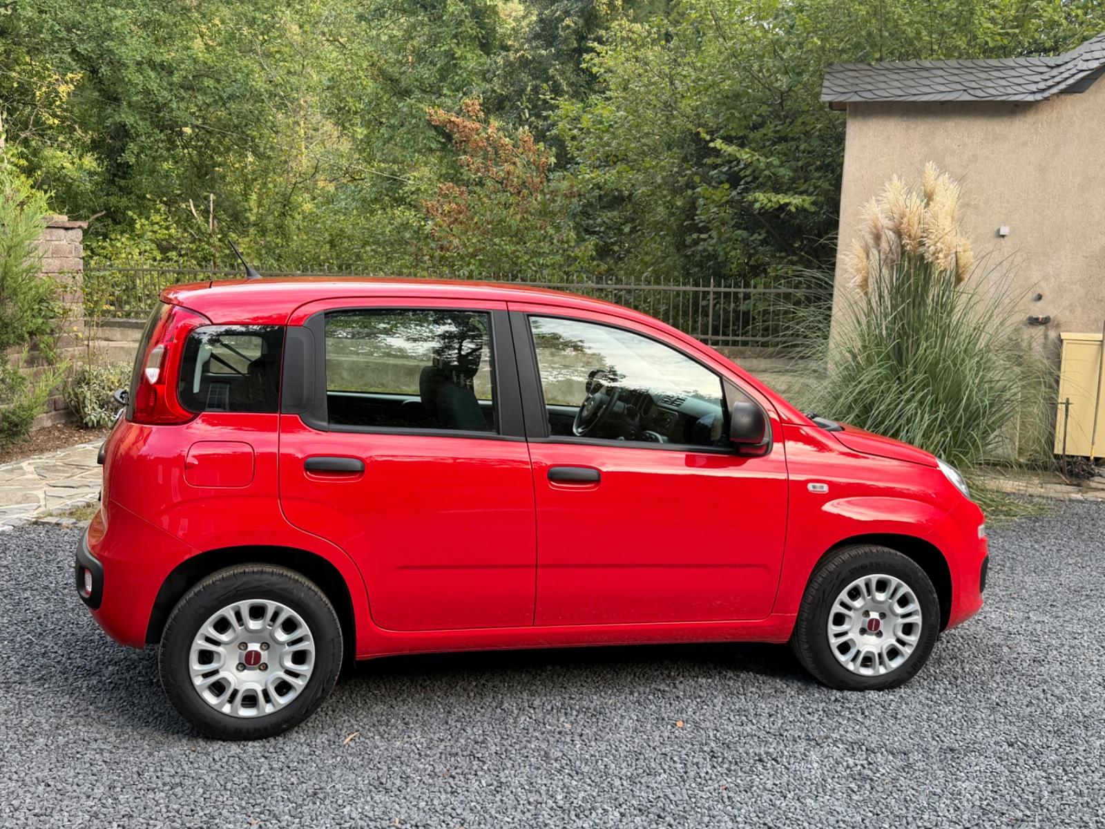 Fiat Panda 1.2 Easy LPG Autogas |1Hand|Neuwertig|LED