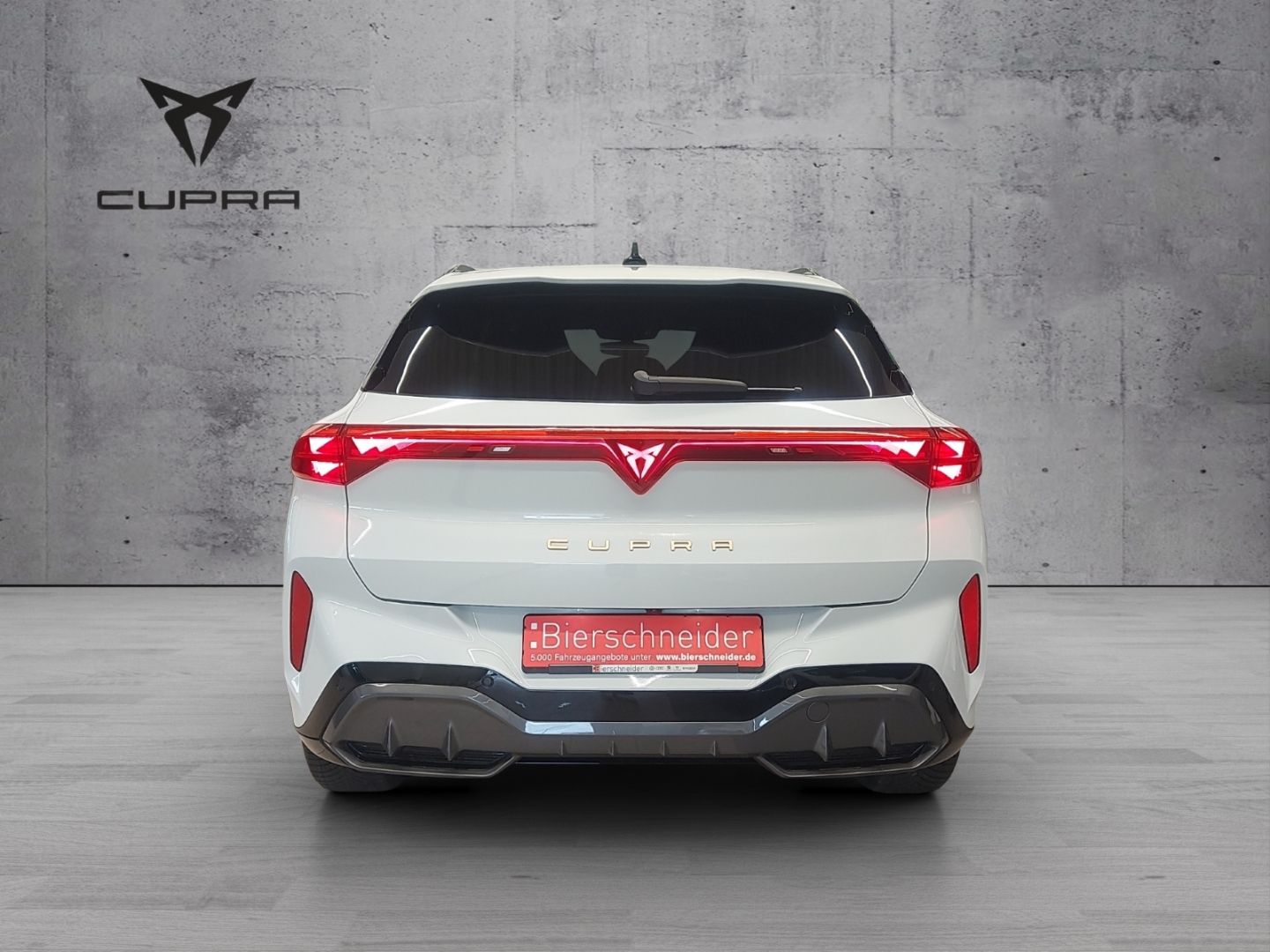 Cupra Terramar - Bild 9