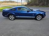 Ford Mustang coupé 4.0  6 cylinder manual gearbox - gebrauchte Ford Mustang aus dem Jahr 2008