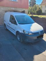 Volkswagen Caddy 1,6TDI 55kW LKW Zulassung  - Volkswagen Caddy: Lkw Zulassung