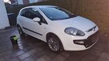 Fiat Punto MyLife 3T 1.2 8V Start&Stopp  - Fiat Punto: Mylife