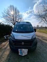 La Strada Avanti L - Angebote