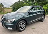 Volkswagen Tiguan 1.4 TSI 4MOTION Comfortline AHK  - : Grün, Sitzheizung