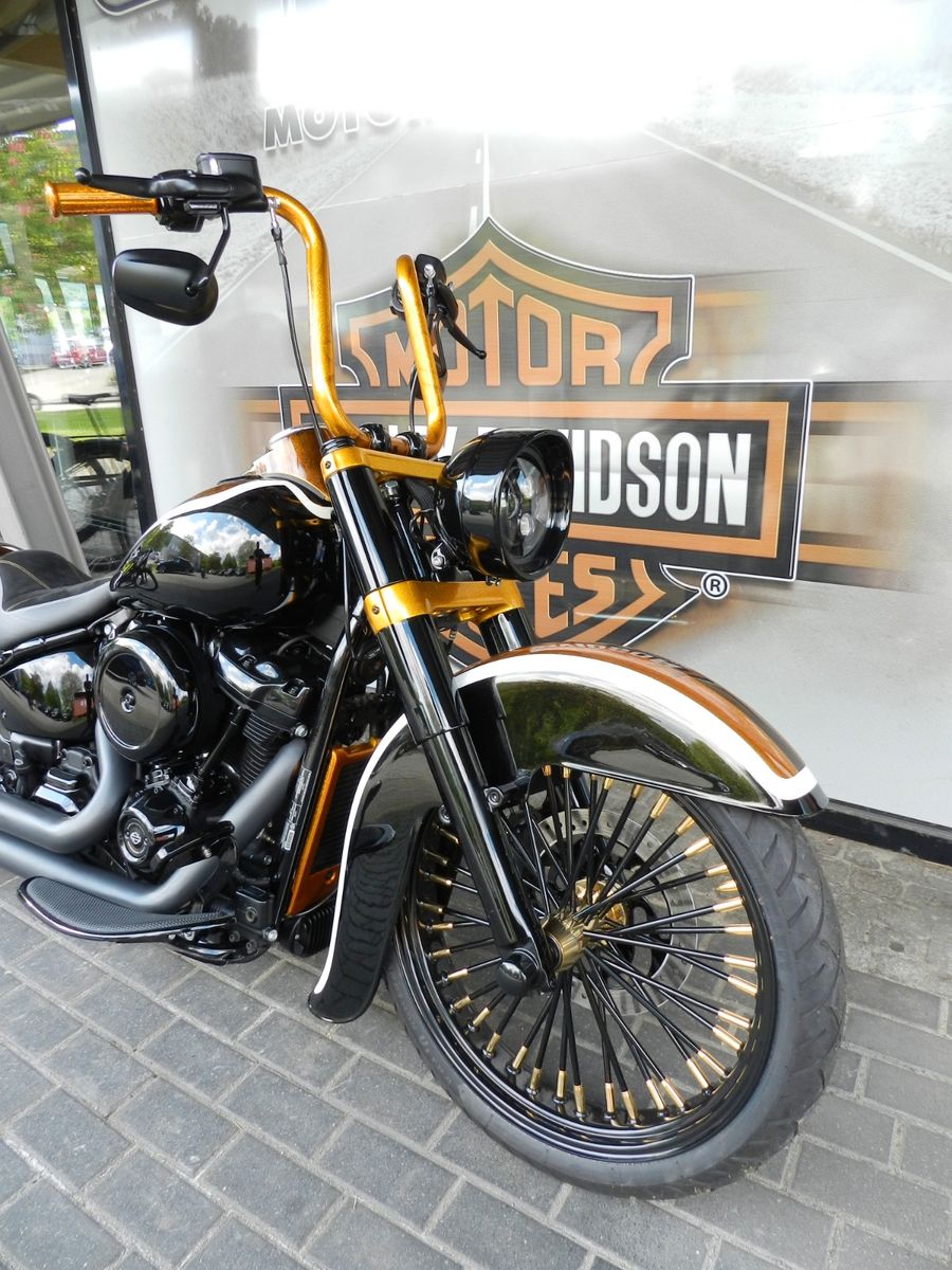 Fahrzeugabbildung Harley-Davidson Softail Slim Chicano Style