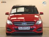 Mercedes-Benz B 200 156PS Urban 7G Memory Navi Pano ACC AHK - Mercedes-Benz: Rot