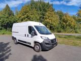 Fiat Ducato Kasten 33 120 L2H2 Euro6 Klima PDC - Fiat Ducato Gebrauchtwagen