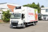 DAF  LF 260 E6 /Carrier Supra 550 / Strom /Tür / LBW - Angebote entsprechen deinen Suchkriterien