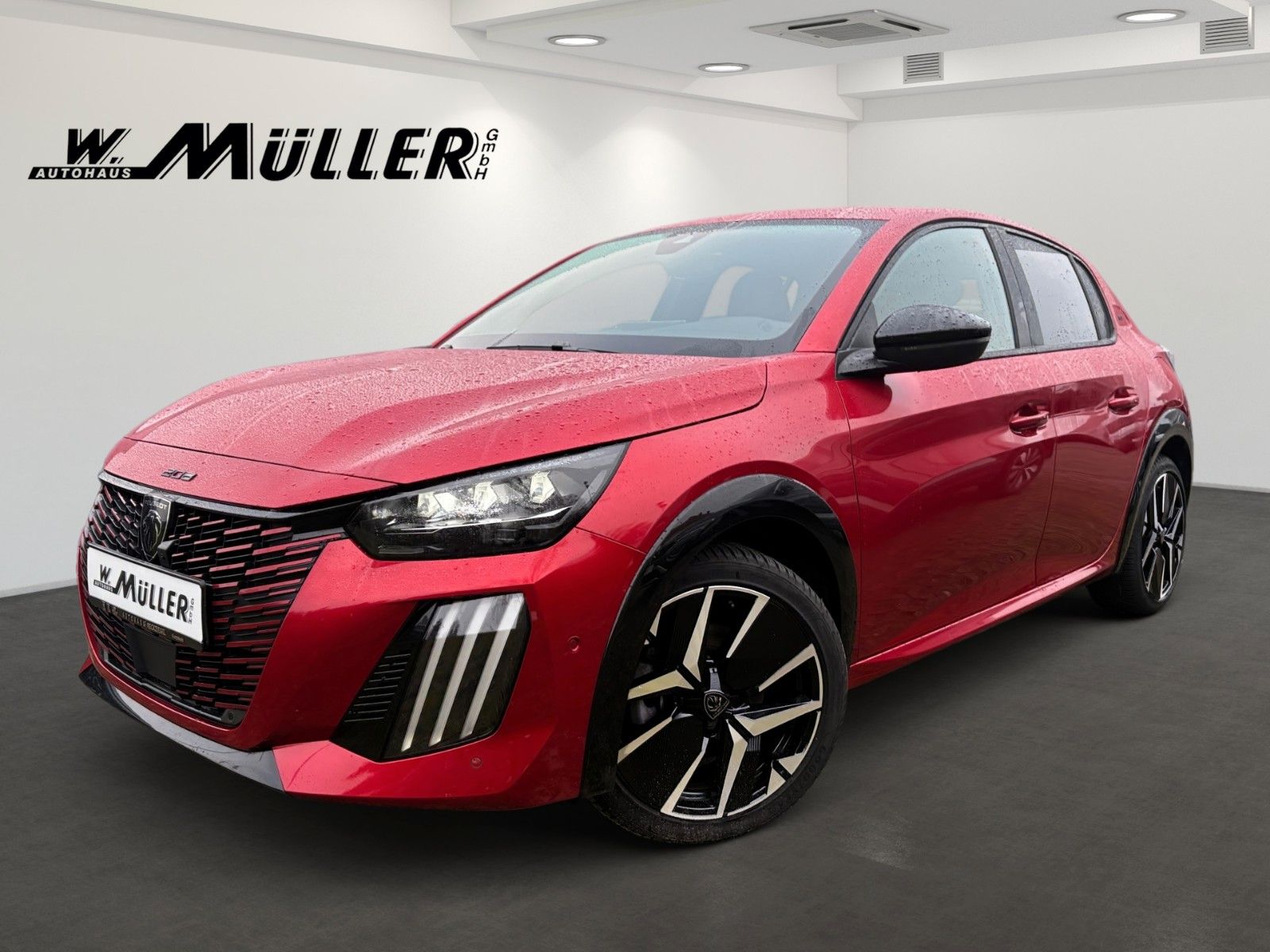 Fahrzeugabbildung Peugeot 208 GT