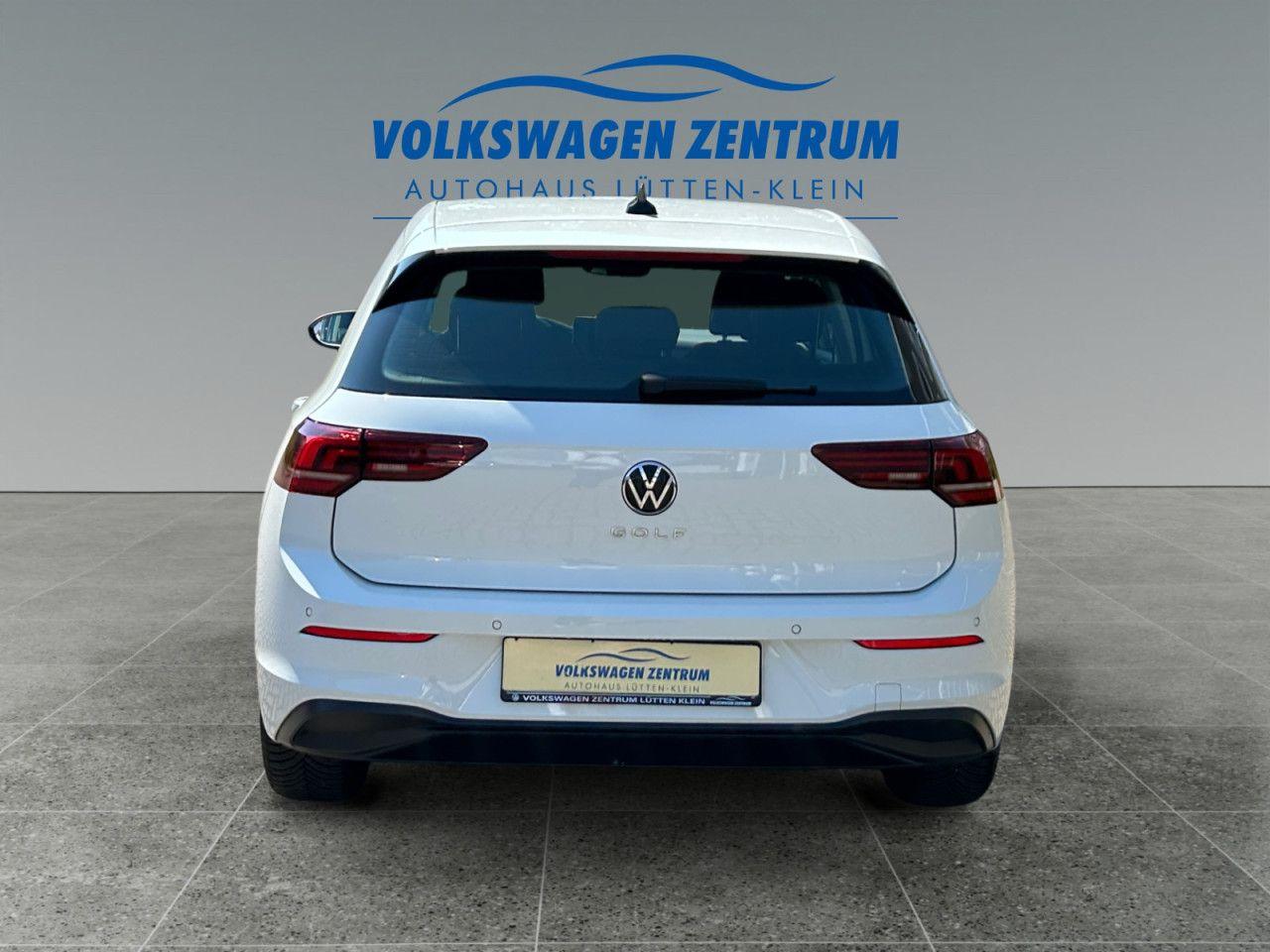 Volkswagen Golf VIII 1.5 TSI Goal,SHZ,GJR,APP,LED,ACC, миниатюра 4