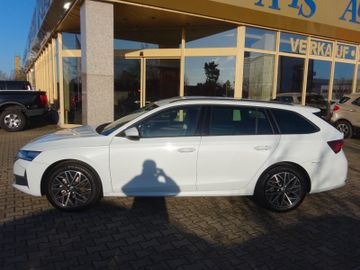 Skoda Octavia - 3