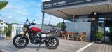 Triumph Scrambler 400 X - Offers matching your search criteria