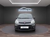 Fiat Panda Lounge - gebrauchte Fiat Panda aus dem Jahr 2016