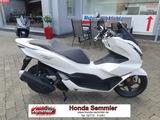 Honda PCX 125 1. Hand TÜV & Inspektion NEU! - HONDA PCX