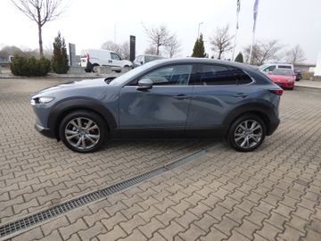 Bild 7 Mazda CX-30 2.0 SKYACTIV-X M Hybrid Selection AHK, B