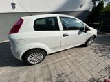 Fiat Punto BJ 2011 mit TÜV bis 12/2026  - Fiat Punto in Düsseldorf