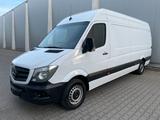 Mercedes-Benz Sprinter II Kasten 311/313 Automatik Kamera MAXI - Mercedes-Benz Sprinter: 313 Maxi
