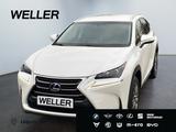 Lexus NX 300h Business Edition *LED*RCam*SHZ*Navi*PDC* - Lexus: L