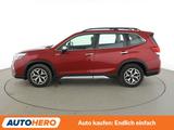 Subaru Forester 2.0 Mild-Hybrid Trend Aut.*ACC*CAM*SHZ* - Subaru Gebrauchtwagen in Stuttgart