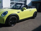 MINI COOPER Cabrio  Classic Trim LED Leder Sportsitze - MINI MINI: Gelb