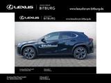 Lexus UX 250h Style Edition /ACC/FLA/ParkAss./SHZ/LM - Used cars