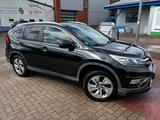 Honda CR-V 2.0 i-VTEC 4WD Lifestyle Leder AHK - Honda CR-V: Leder