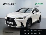 Lexus NX 450h+ E-FOUR Executive Paket *LED*360°*AHK*AC - Lexus NX-Serie in Leipzig