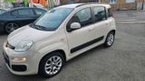 Fiat fiat panda  1.3 diesel - Fiat New Panda von privat