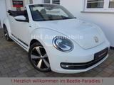 Volkswagen Beetle 1.2TSI DSG Allstar Plus Xenon Kamera LED - VW Beetle Gebrauchtwagen in Frankfurt