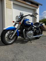 Triumph America (GB)  - TRIUMPH AMERICA