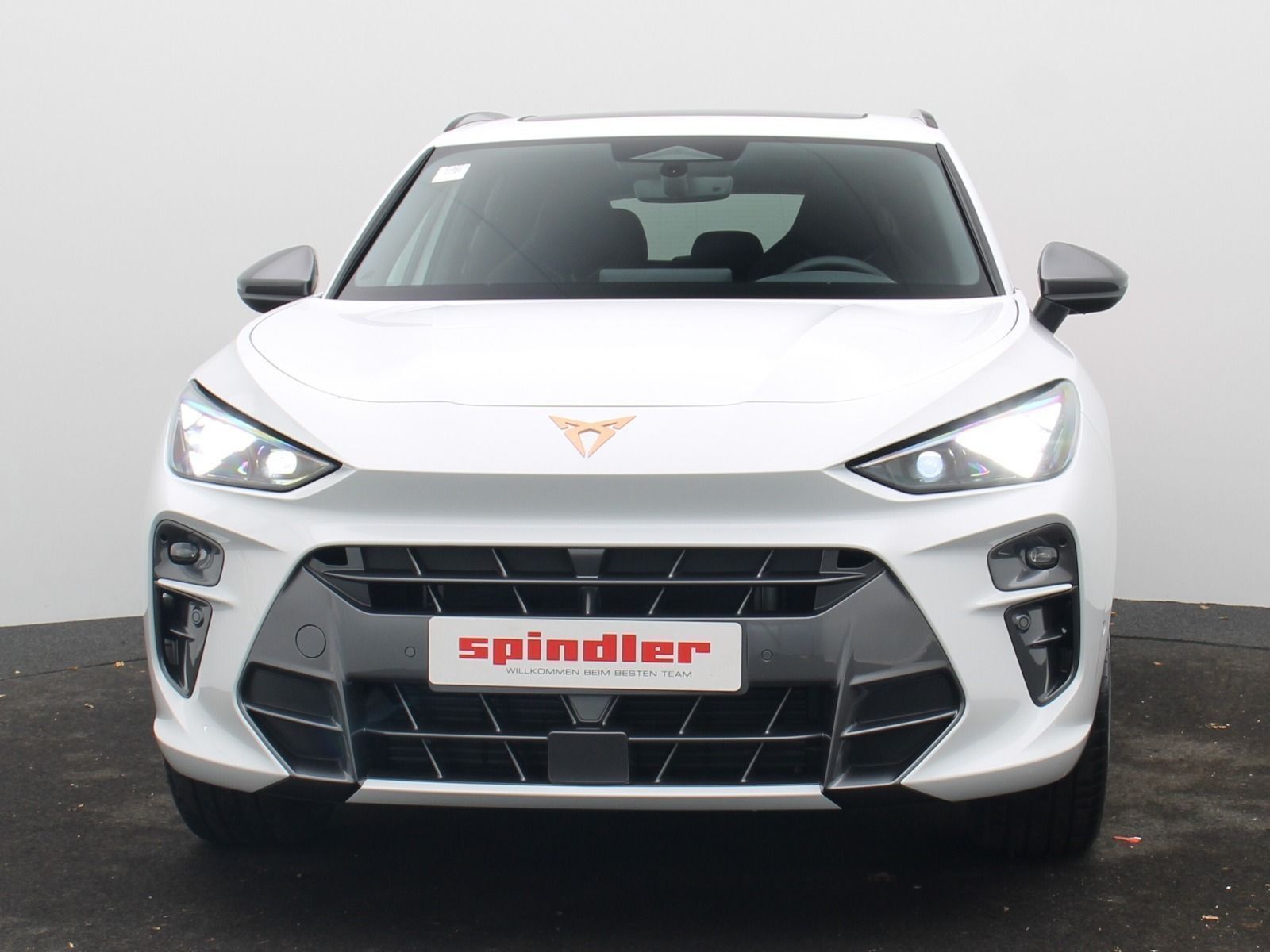 Cupra Terramar VZ 2.0 TSI 4Drive DSG HD-Matrix Navi foto 3