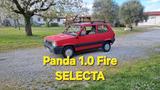 Fiat Panda 1100 i.e. cat Selecta - Fiat Panda: Selecta