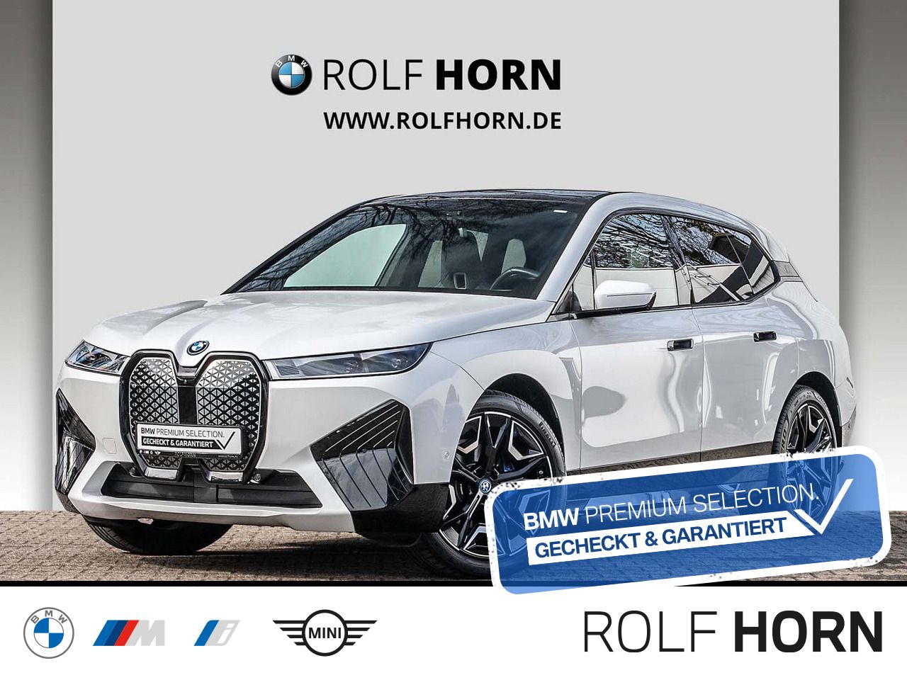 BMW iX xDrive40 Navi Laser Sky Lounge Luftfederung