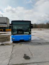 MAN A23 - MAN Kühlkoffer