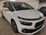 Citroën Grand C4 Picasso/Spacetourer Shine 7-Sitzer - Citroën Grand C4 Picasso / SpaceTourer: Automatik