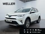 Toyota RAV 4 2.5 Hybrid 4x4 Executive *360°*Leder*ACC* - Toyota RAV 4 mit Hybrid-Antrieb