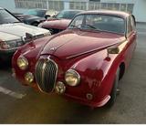 Jaguar MK2 / Mark2 / MKII / Neu Lackiert /... - Jaguar: Mk2