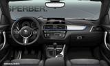 BMW 220d Cabrio - gebrauchte BMW 220 aus dem Jahr 2020