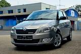 Skoda Fabia 1.2 TDI  Greenline - Skoda Fabia mit Diesel-Antrieb: Kleinwagen